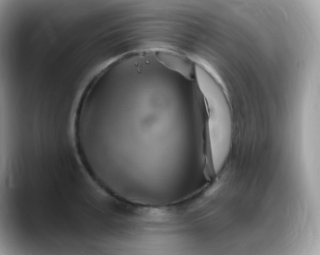 X0000088200995200705292029