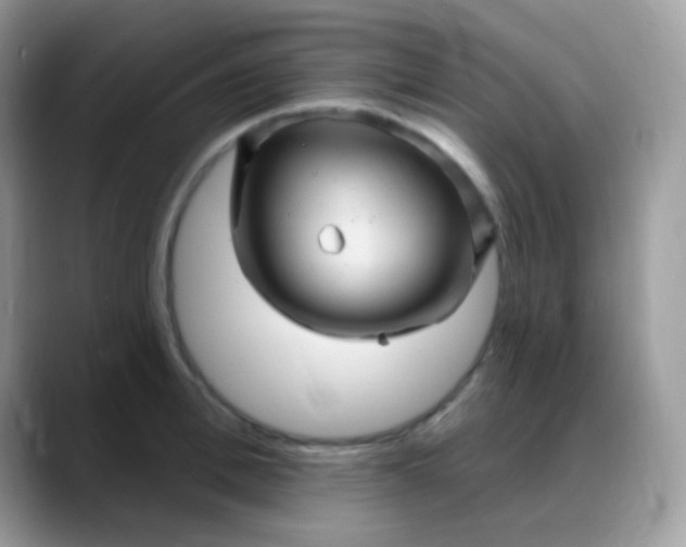 X0000088200996200705292029