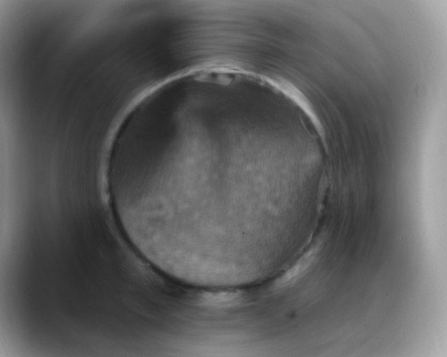 X0000088200997200705292029