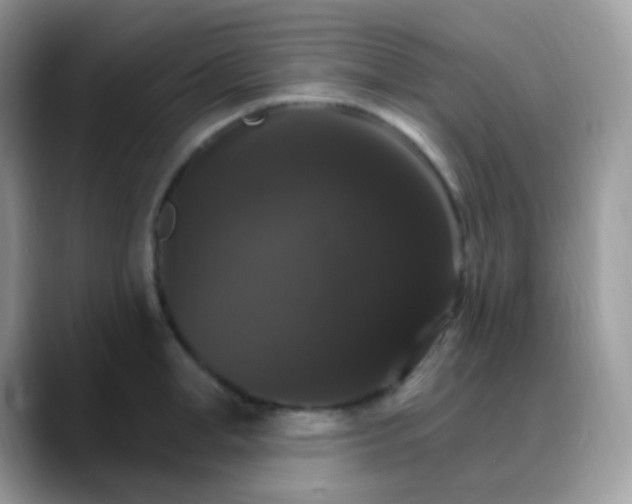X0000088200998200705292029