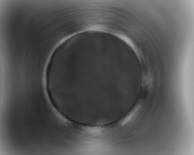 X0000088200999200705292029