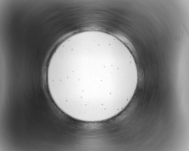 X0000088201000200705292029