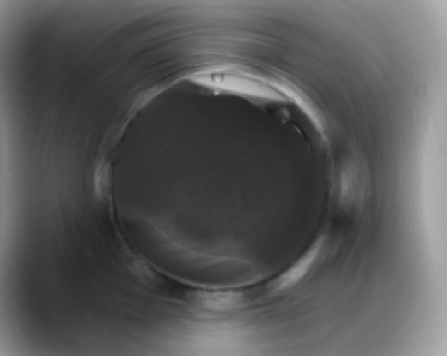 X0000088201001200705292029