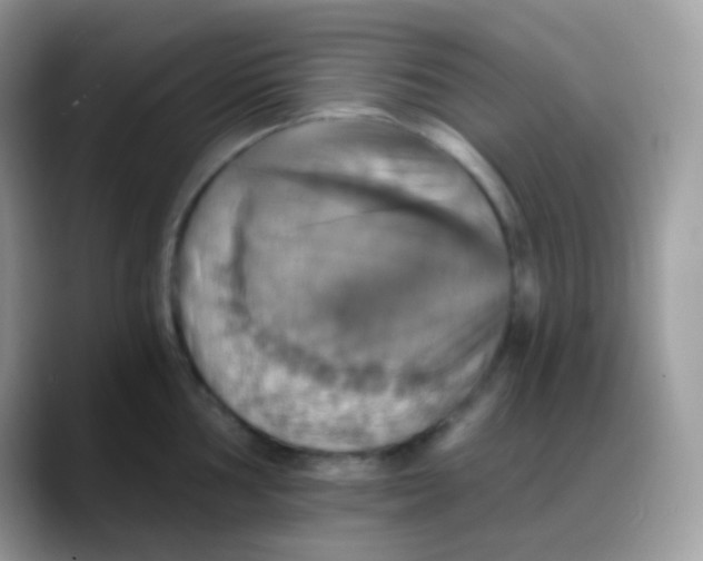 X0000088201002200705292029