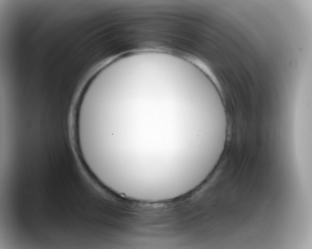 X0000088201003200705292029