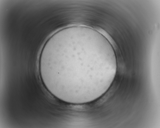 X0000088201004200705292029