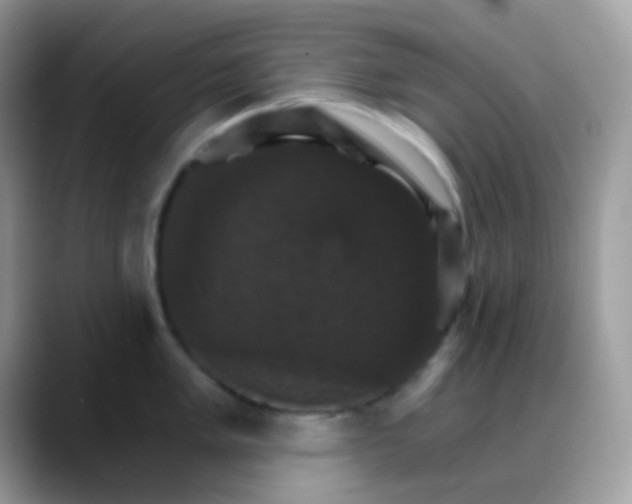 X0000088201005200705292029