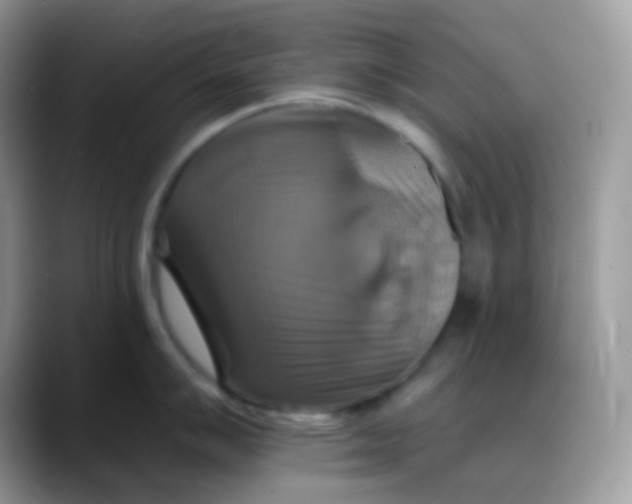 X0000088201007200705292029