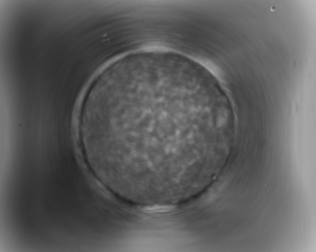 X0000088201008200705292028