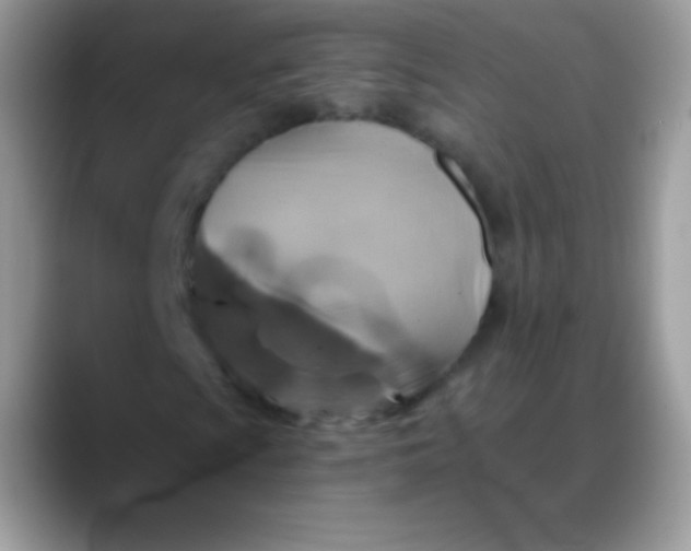 X0000088201009200705292028