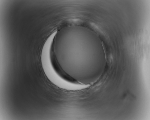 X0000088201010200705292028