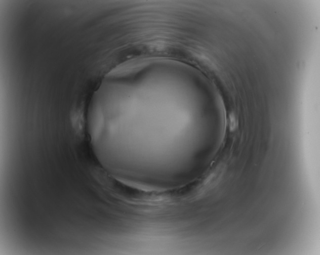 X0000088201011200705292028