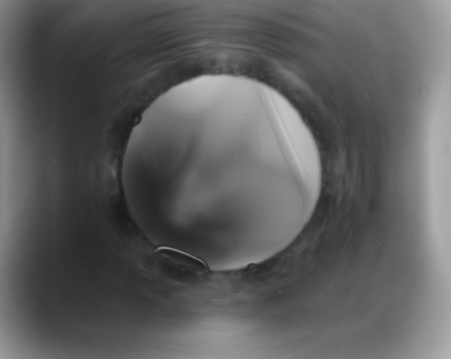 X0000088201013200705292028
