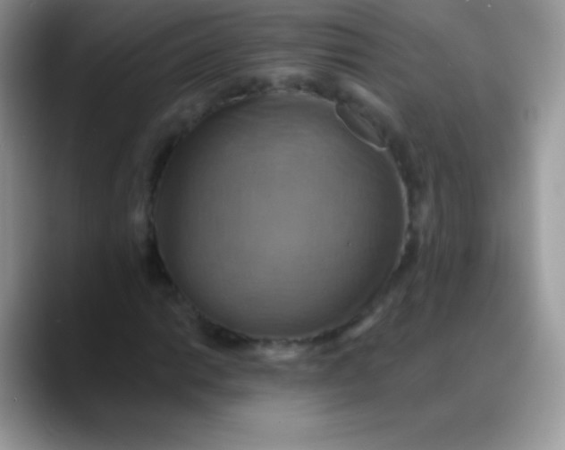 X0000088201014200705292028