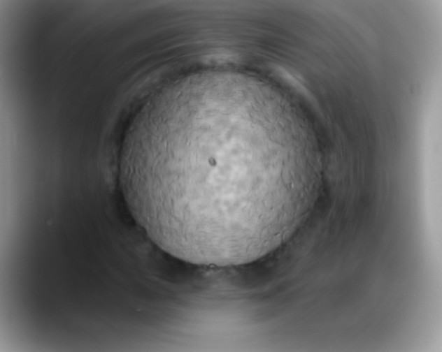 X0000088201015200705292028