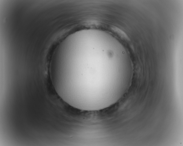 X0000088201016200705292028