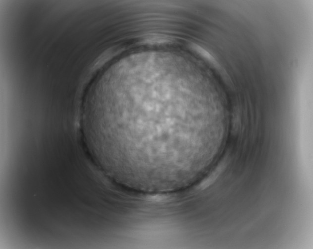 X0000088201017200705292028