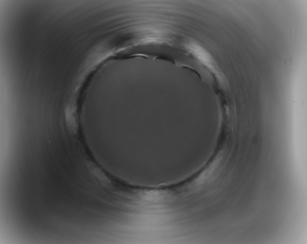 X0000088201018200705292028