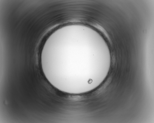 X0000088201019200705292028