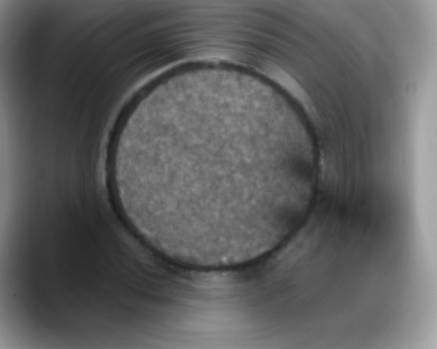 X0000088201020200705292028
