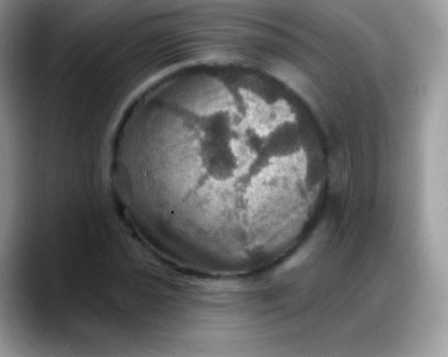 X0000088201021200705292028