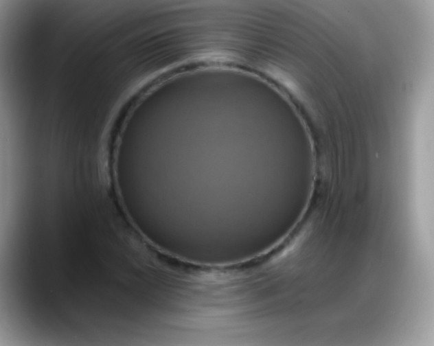 X0000088201022200705292028