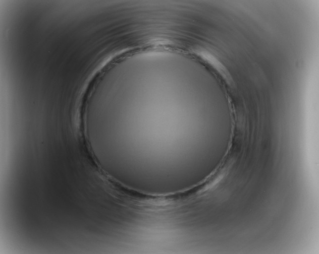 X0000088201023200705292028
