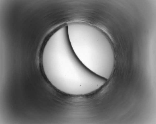 X0000088201024200705292028