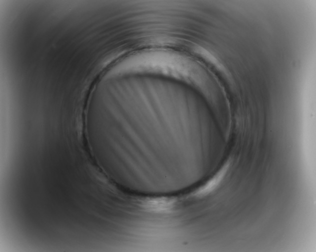 X0000088201025200705292028