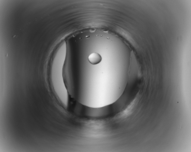 X0000088201026200705292028