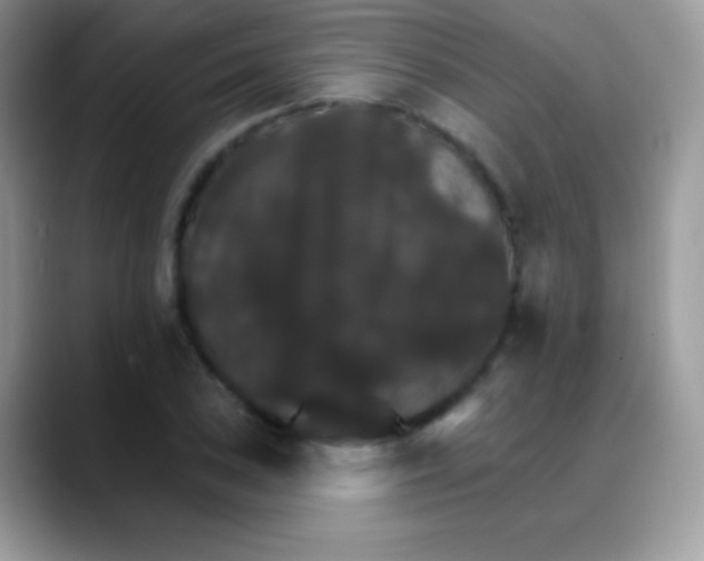 X0000088201027200705292028