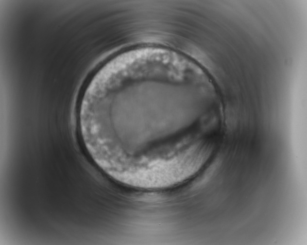 X0000088201028200705292028