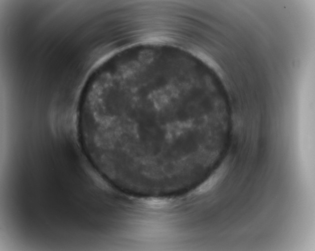 X0000088201029200705292028
