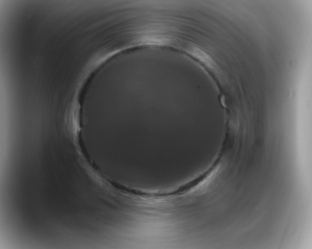 X0000088201030200705292028