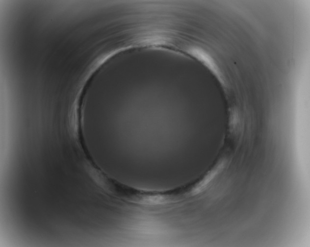 X0000088201031200705292028