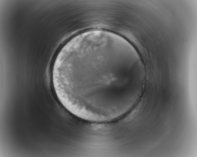 X0000088201032200705292028