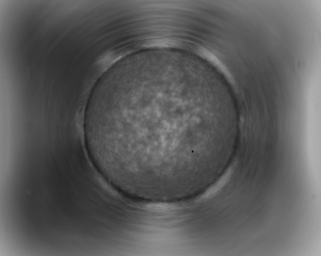 X0000088201033200705292028