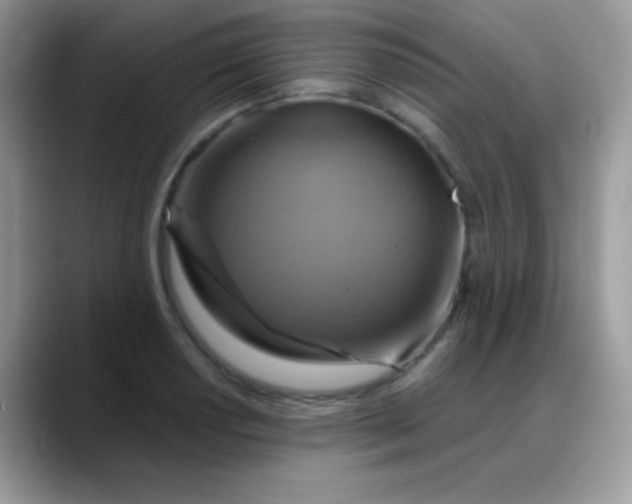 X0000088201034200705292028