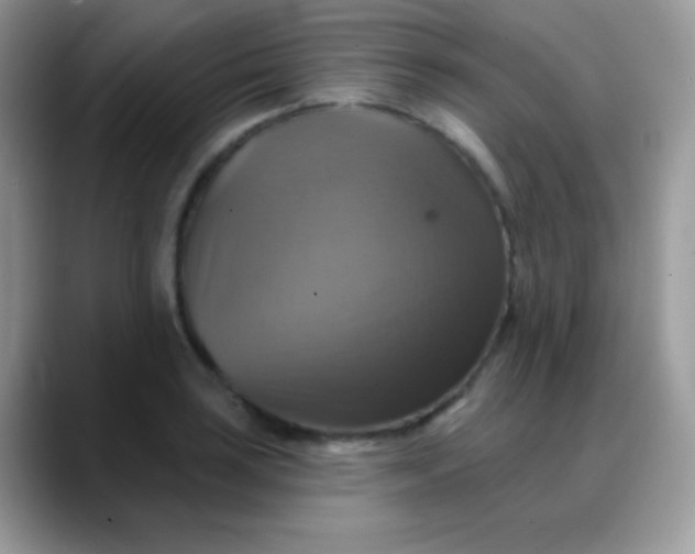 X0000088201035200705292028