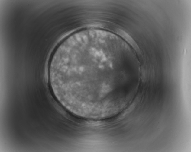 X0000088201036200705292028