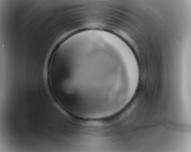 X0000088201037200705292028