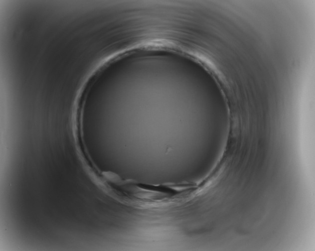 X0000088201038200705292028