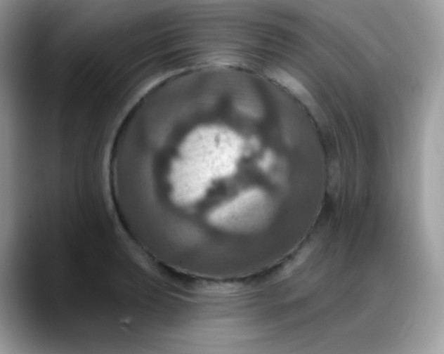 X0000088201039200705292028