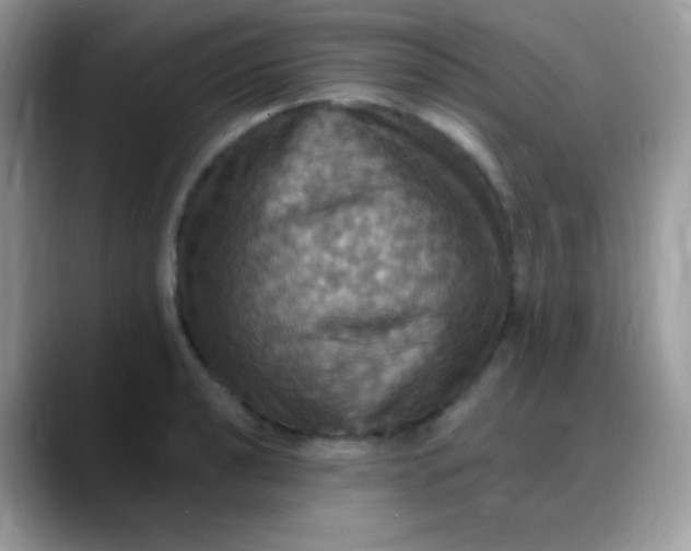 X0000088201040200705292028