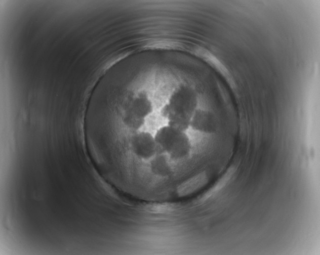 X0000088201041200705292028