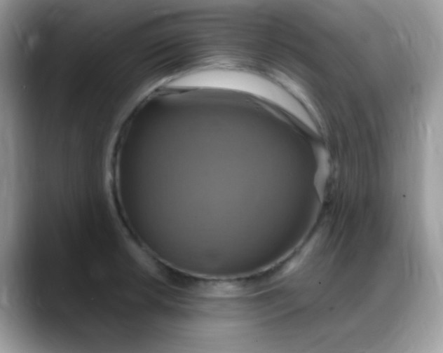 X0000088201042200705292028