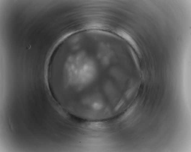 X0000088201043200705292028