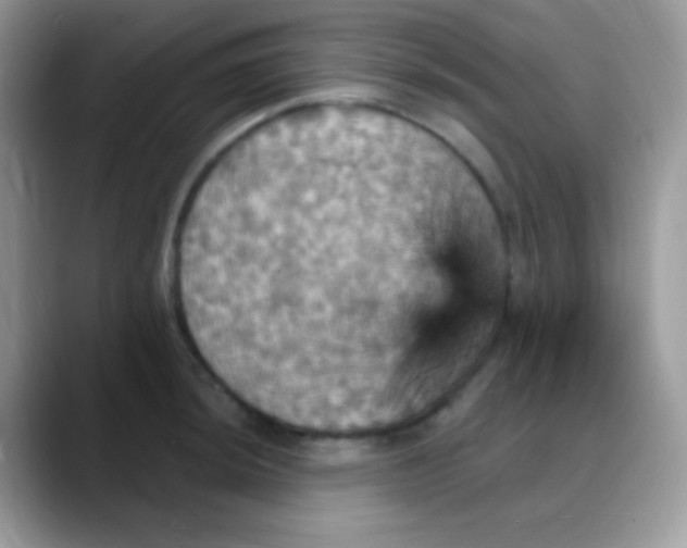 X0000088201044200705292028