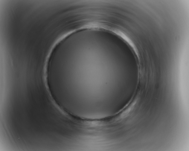 X0000088201045200705292028
