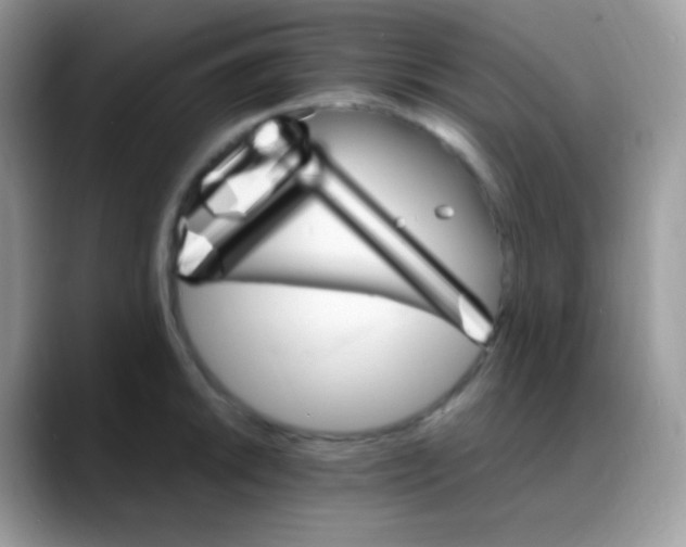 X0000088201046200705292028